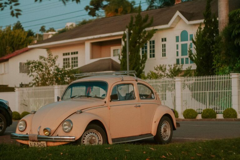 Investissez dans une clôture durable : les choix qui résistent au temps et aux éléments